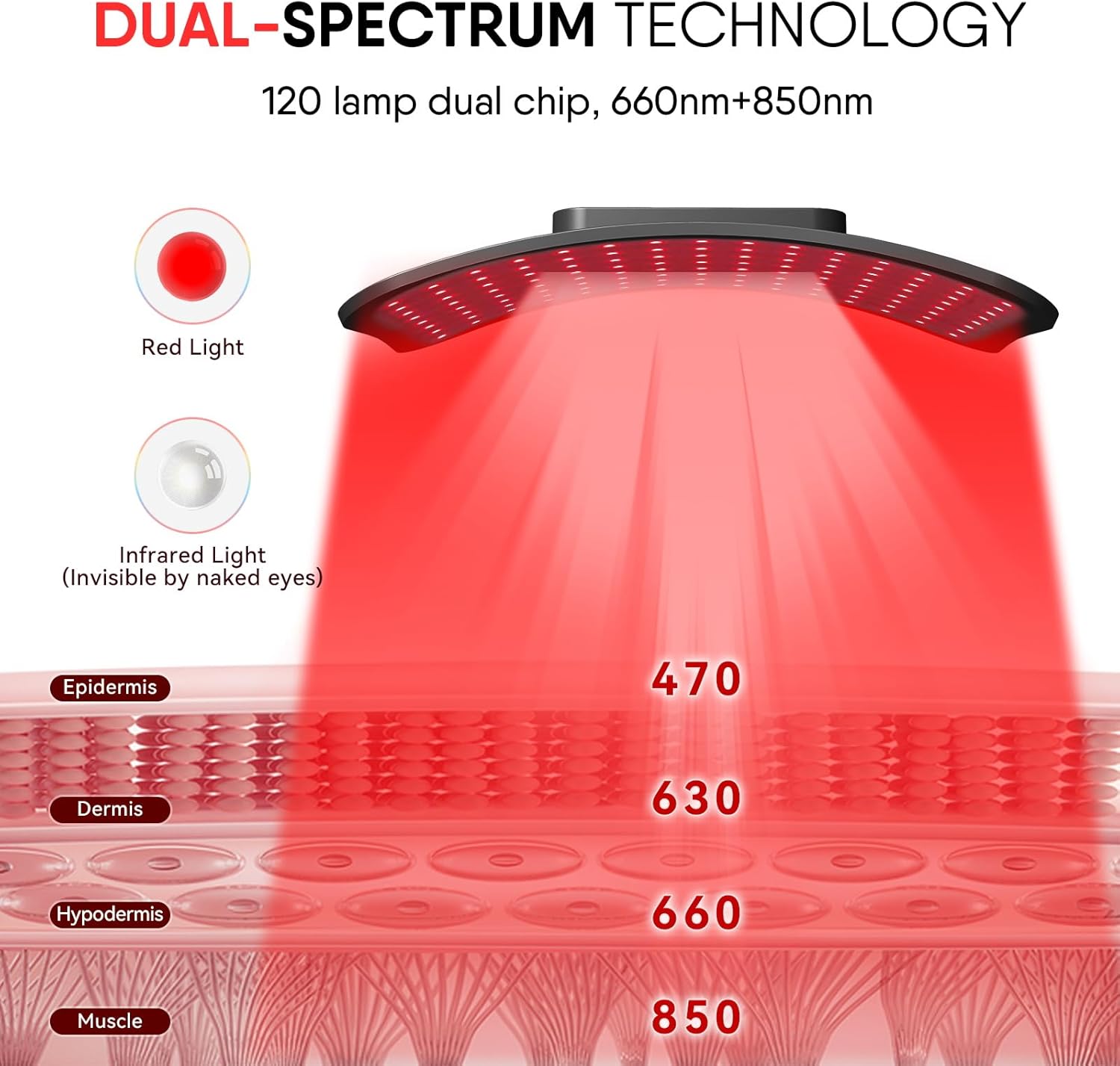 แผงบําบัดด้วยแสงสีแดงพร้อมขาตั - Red Light Therapy Panel 660 850 บทวิจารณ์และราคา