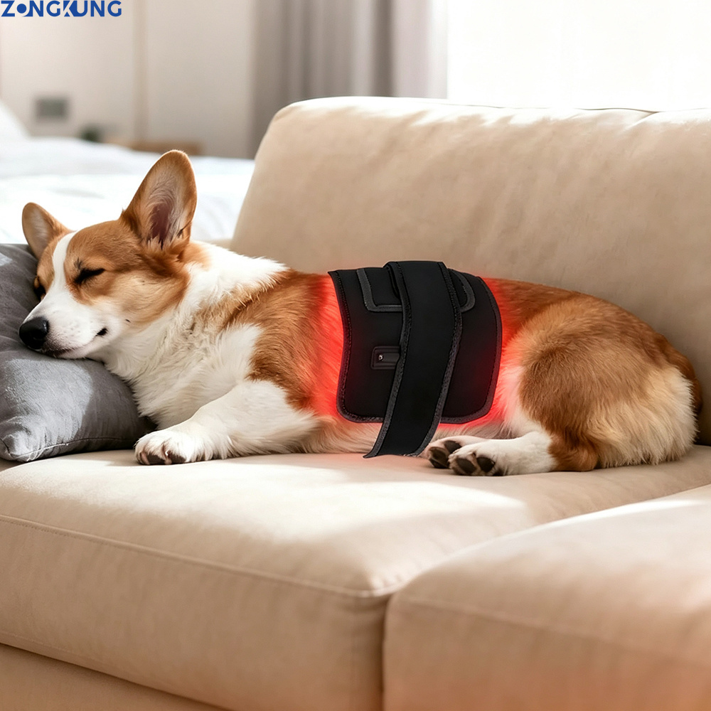 การบำบัดด้วยแสงสีแดงสำหรับสัตว - Red Light Therapy Panel 660 850 บทวิจารณ์และราคา