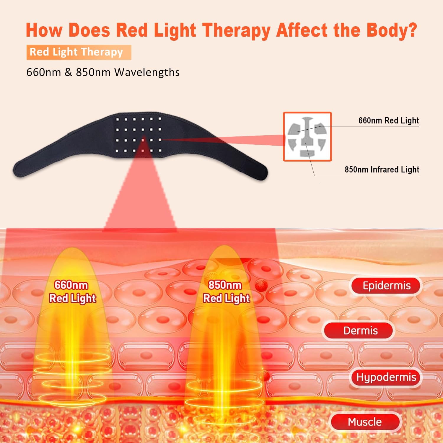 เข็มขัดบำบัดแสงสีแดง 660 นาโนเ - Red Light Therapy Panel 660 850 บทวิจารณ์และราคา